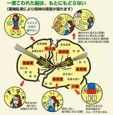 麻薬の恐ろしさを本当に理解していますか？