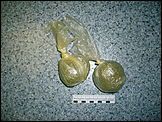 Police found 22 g of marijuana in a woman’s genitalia