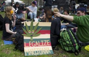 U.S. Doctors: We have to convince authorities to legalize marijuana